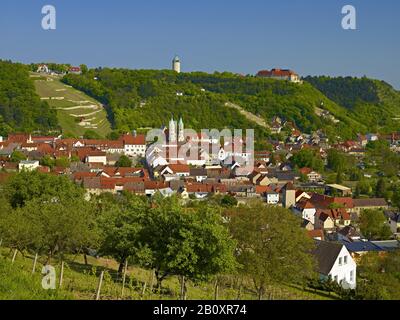 Veduta Di Freyburg Con Il Castello Di Neuenburg, Freyburg / Unstrut, Sassonia-Anhalt, Germania, Foto Stock