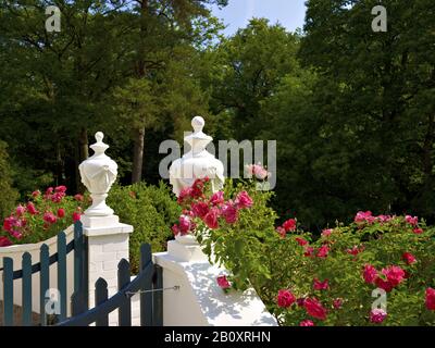 Barkenhoff, Heinrich Vogeler Haus, Worpswede, Bassa Sassonia, Germania, Foto Stock