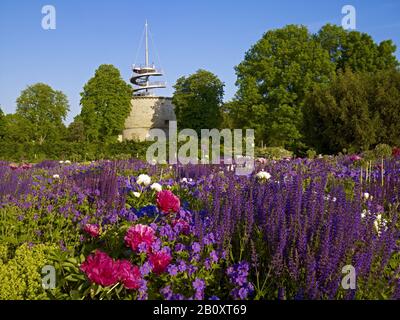 EGA-Park, letto peony (peonie) con torre di osservazione a Erfurt, Turingia, Germania, Foto Stock