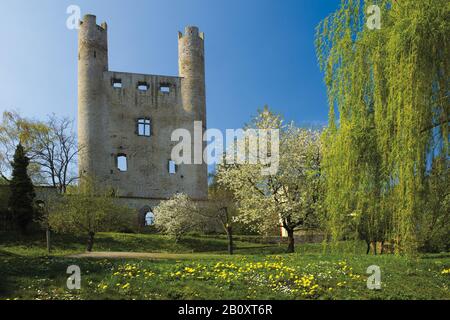 Hoher Schwarm Castle Ruin, Saalfeld, distretto di Saalfeld-Rudolstadt, Turingia, Germania, Foto Stock