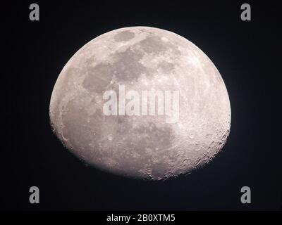 Ceretta gibbous, fase della luna, Angola Foto Stock