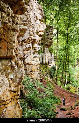 Parete rocciosa della Gola del Diavolo nel Parco Naturale dell'Eifel Sud, Germania, Renania-Palatinato, Eifel, Irrel Foto Stock