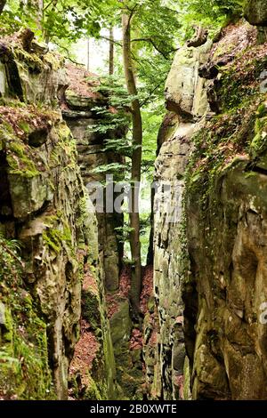 Gola Del Diavolo Nel Parco Naturale Dell'Eifel Sud, Germania, Renania-Palatinato, Eifel, Irrel Foto Stock