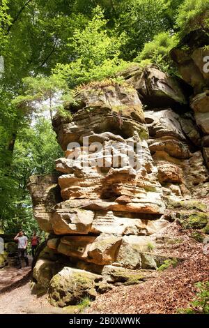 Formazione rocciosa della Gola del Diavolo nel Parco Naturale dell'Eifel Sud, Germania, Renania-Palatinato, Eifel, Irrel Foto Stock