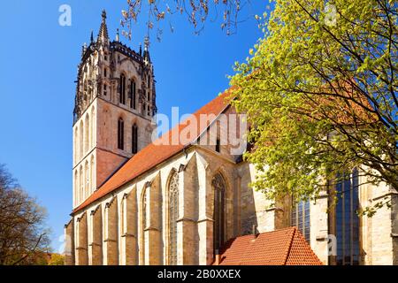 Ueberwasserkirche, Germania, Renania Settentrionale-Vestfalia, Munster Foto Stock