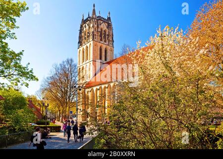 Ueberwasserkirche, Germania, Renania Settentrionale-Vestfalia, Munster Foto Stock