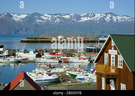 Vista del porto di Husik, Islanda, Husik Foto Stock