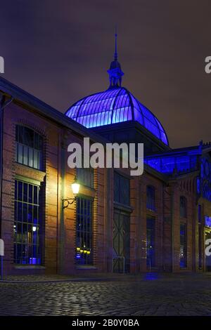 Blue Port, sala d'asta di pesce in neon blu, progetto d'arte di Michael Batz, Fischmarkt, Amburgo, Germania, Foto Stock