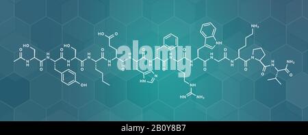 Afamelanotide o molecola di farmaco fotoprotettivo, illustrazione Foto Stock