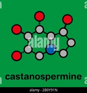 Molecola di alcaloide di Castanospermine, illustrazione Foto Stock