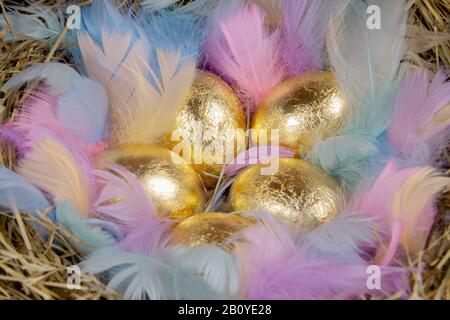 Uova d'oro con piume colorate in un nido. Concetto di pasqua. Foto Stock