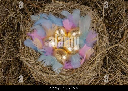 Uova d'oro con piume colorate in una vista dall'alto nido. Concetto di pasqua. Foto Stock