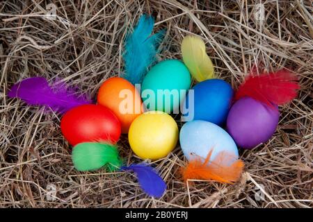 Uova multicolore con piume colorate in un nido con una nota mock up, vista dall'alto. Concetto di pasqua. Foto Stock