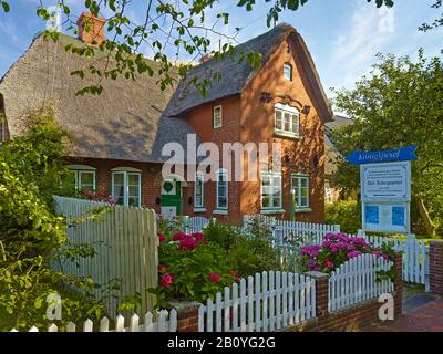 Königspesel, Hanswarft Auf Hallig Hooge, North Friesland, Schleswig-Holstein, Germania, Foto Stock