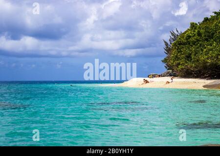 I bagnanti si rilassano sulle sabbie di Nudey Beach, l'Isola Fitzroy, nelle acque cristalline del Mare dei Coralli vicino alla costa del Queensland Australia. Foto Stock