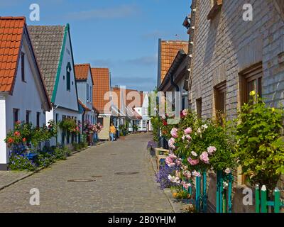 Case nell'insediamento di pescatori di Holm nello Schleswig-Flensburg, Schleswig-Holstein, Germania, Foto Stock