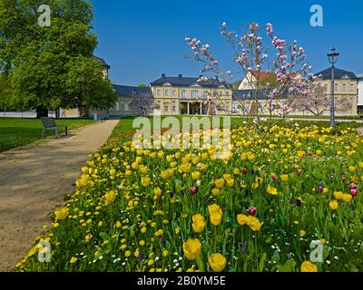 Orangerie con tulipani a Gera, Turingia, Germania, Foto Stock