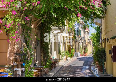 Le bouganvillee coprivano le strade del quartiere Plaka ad Atene, in Grecia Foto Stock