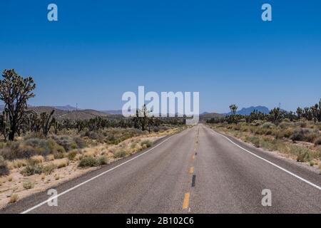 Joshua Tree National Park, California, Stati Uniti d'America Foto Stock