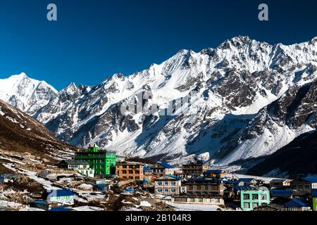 Kyamjin Gumba Nella Valle Di Langtang, Rasuwa, Nepal Foto Stock