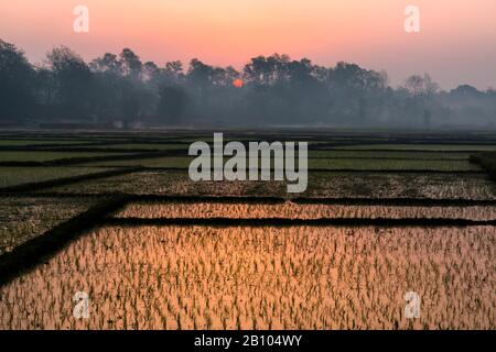 Alba sopra i campi di riso nel Terai, Nepal Foto Stock