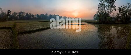 Alba sopra i campi di riso nel Terai, Nepal Foto Stock