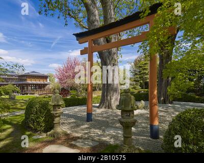 Giardino giapponese a Bad Langensalza, Turingia, Germania Foto Stock