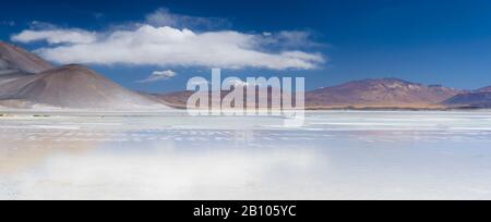 Salar de Aguas Calientes, salino, Atacama, Cile Foto Stock