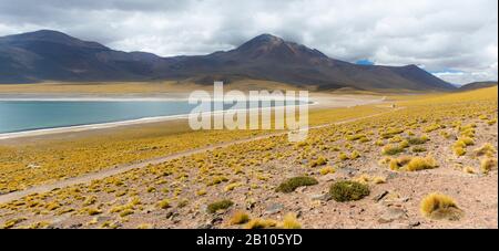 Lago Salato Di Miscanti, Deserto Di Atacama, Cile Foto Stock