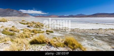 Salar de Aguas Calientes, salino, Atacama, Cile Foto Stock