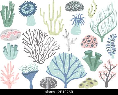 Coralli dell'Acquario e alghe marine. Marine oceano corallo flora, decorazione sott'acqua alghe e diverse piante d'acqua vettore cartone animato set Illustrazione Vettoriale