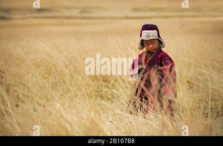 Il bambino tibetano gioca sui prati dell'altopiano tibetano durante gli ultimi giorni di raccolto prima dell'inizio delle prime tempeste di neve Foto Stock