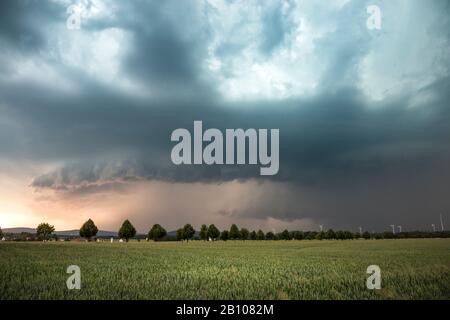 Downwind dominante HP supercell con raffica fronte e nube di parete alla luce del tramonto vicino Kamenz, Sassonia, Germania Foto Stock