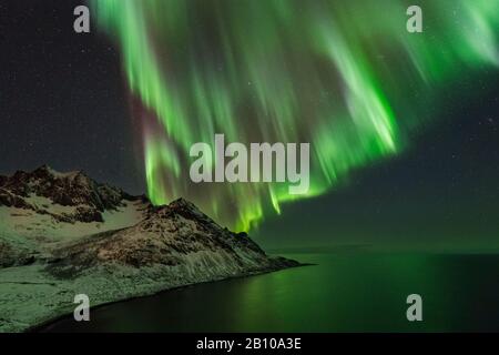 Luci del nord oltre il Metfjord di notte, Senja, Norvegia Foto Stock