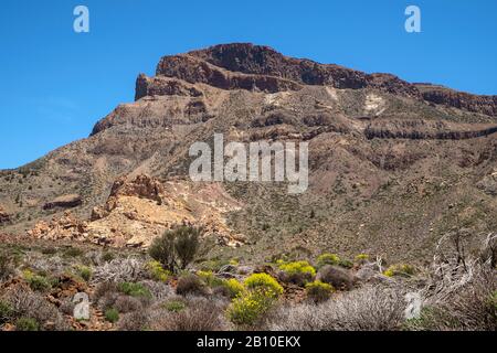 Monthana Guara, Parco Nazionale Del Teide, Tenerife, Isole Canarie Foto Stock