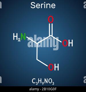 Serina, Ser molecola aminoacidica. Viene usato nella biosintesi delle proteine. Formula chimica strutturale sullo sfondo blu scuro. Illustrazione del vettore Illustrazione Vettoriale