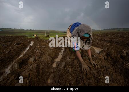 Gli agricoltori etiopi lavorano il suolo a mano, Debre Berhan, Etiopia Foto Stock