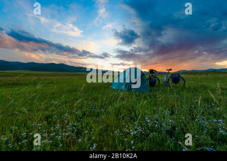 Camping nella steppa Mongola, Mongolia Foto Stock