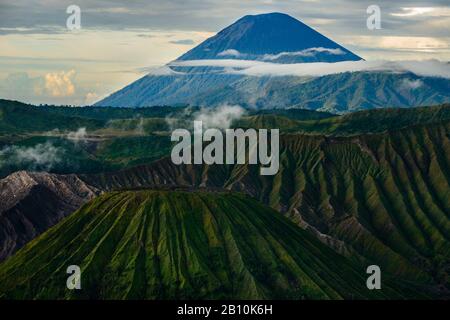 Cratere attivo Di Bromo sulla sinistra, Batok vulcano di fronte e Semeru vulcano dietro, Parco Nazionale Di Bromo Tengger Semeru, Isola di Giava, Indonesia Foto Stock
