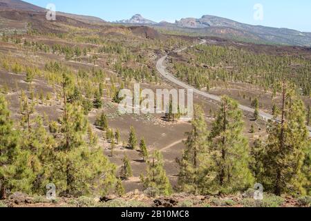 Parco Nazionale del Teide, Tenerife, Spagna Foto Stock