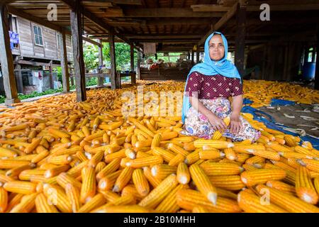 La donna è seduta tra corncosts, Sulawesi, Indonesia Foto Stock