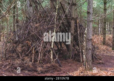 Bastone riparo nella foresta una capanna di stile wigwam o den fatto dai bambini che giocano all'esterno Foto Stock