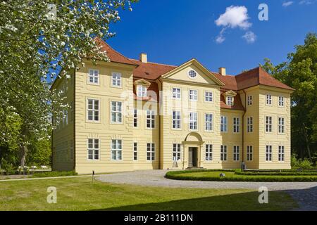 Mirower castello sull'isola del castello di Mirow, Mecklenburg-West Pomerania, Germania Foto Stock