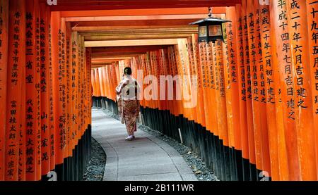 Giappone, Isola di Honshu, Kansai, Kyoto, a Fushimi Inari, il sentiero Toori. Foto Stock