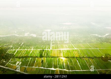 Veduta aerea dei campi e dei canali in controluce, Olanda, Olanda Foto Stock