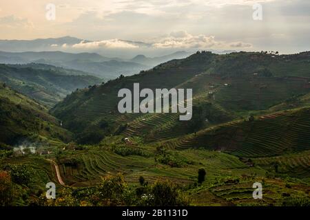 Montagne terrazzate del Ruanda occidentale, Africa Foto Stock