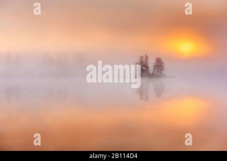 Dawn in un lago forestale, Svezia, Lapponia, Norrbotten Foto Stock