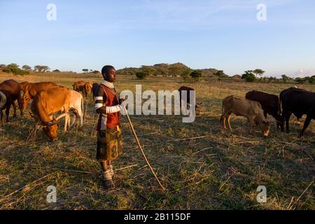 Pastori della tribù Sukuma, Tanzania occidentale, Africa Foto Stock