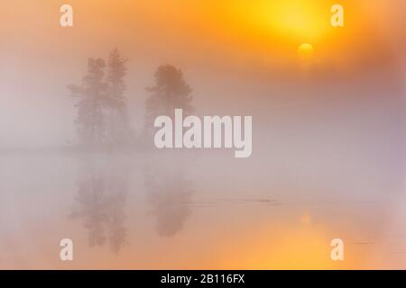 Dawn in un lago forestale, Svezia, Lapponia, Norrbotten Foto Stock