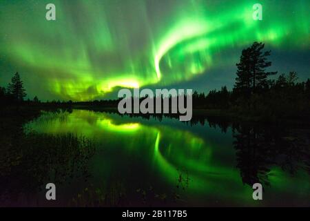 Luce polare che si riflette su un lago, Svezia, Lapponia, Norrbotten Foto Stock